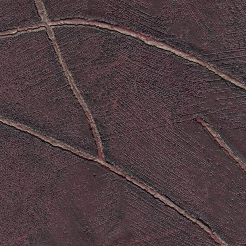 Attiser sa curiosité VP 1004 31