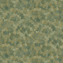 Feijoa Cyprès 76841426