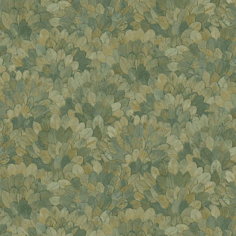 Feijoa Cyprès 76841426