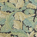 Acanthus Privet 212550