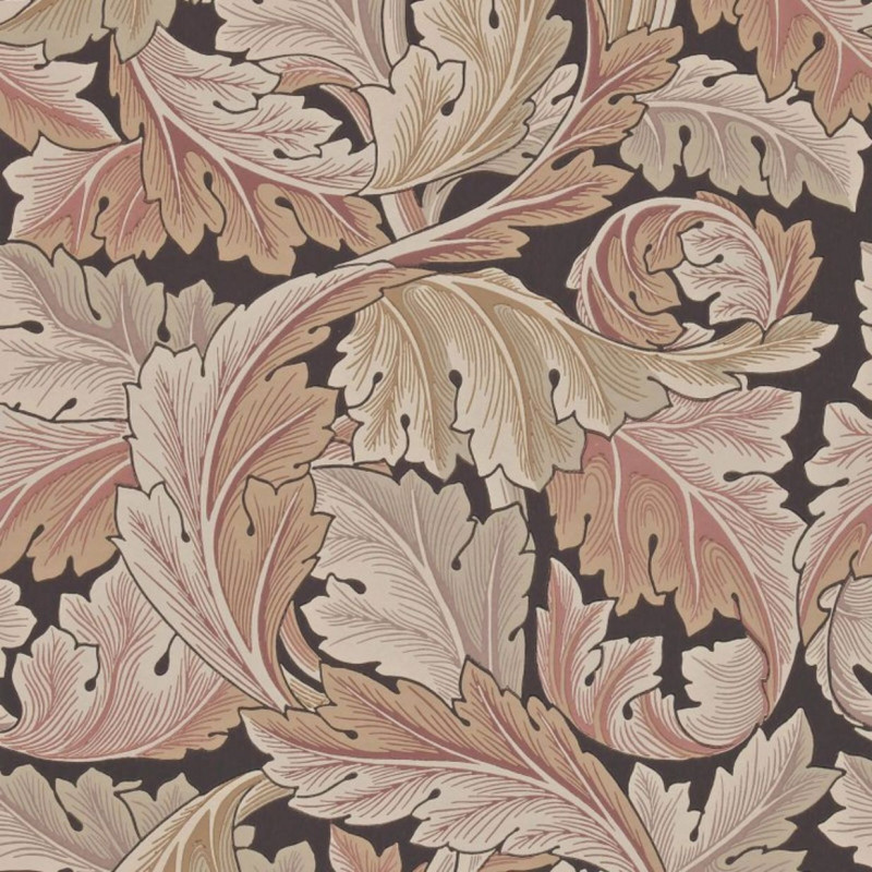 Acanthus Terracotta 212551