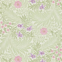 Larkspur Olive/Lilac 212555