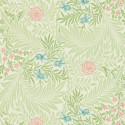 Larkspur Green/Coral 212558