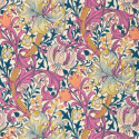 Golden Lily Pink Fizz 510006