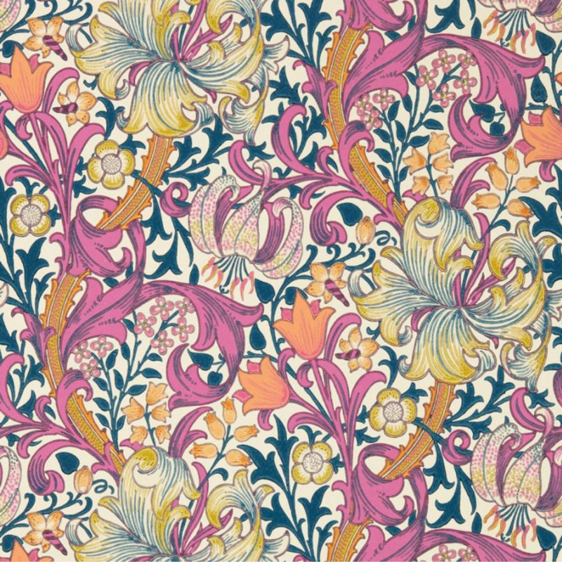 Golden Lily Pink Fizz 510006
