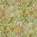 Golden Lily Pale Biscuit DMI1G3102