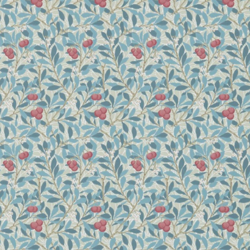 Arbutus Blue/Pink DJA1A7102