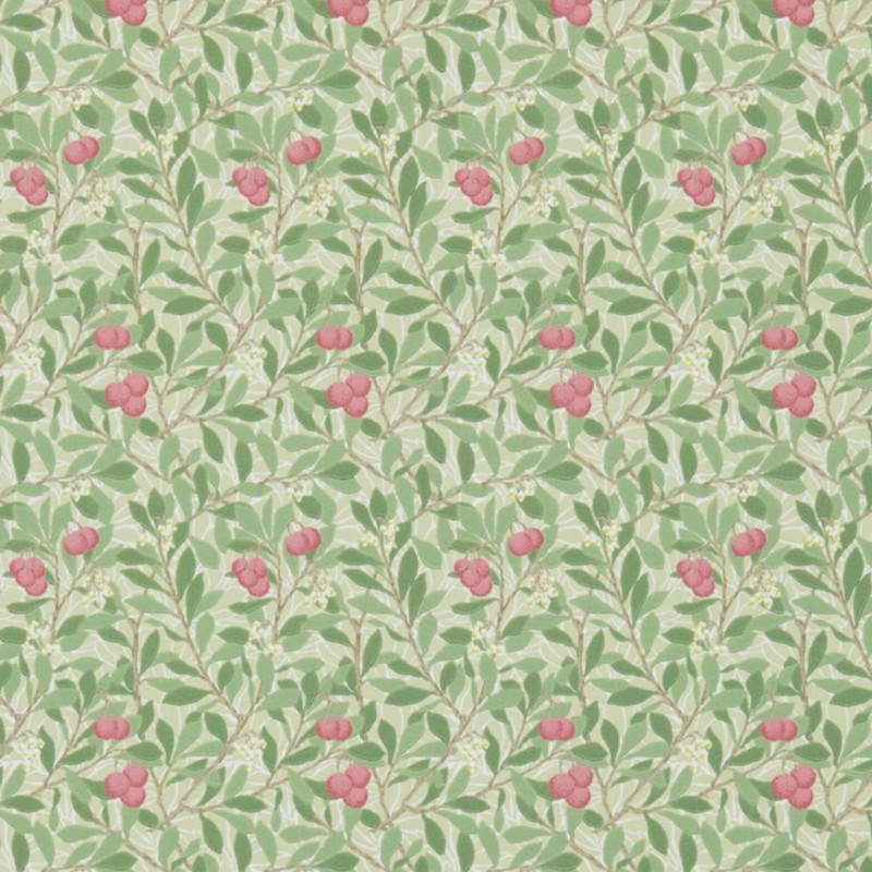 Arbutus Olive/Pink 214720