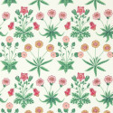 Daisy Strawberry Fields 510005