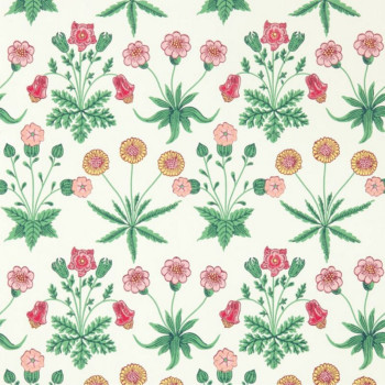 Daisy Strawberry Fields 510005