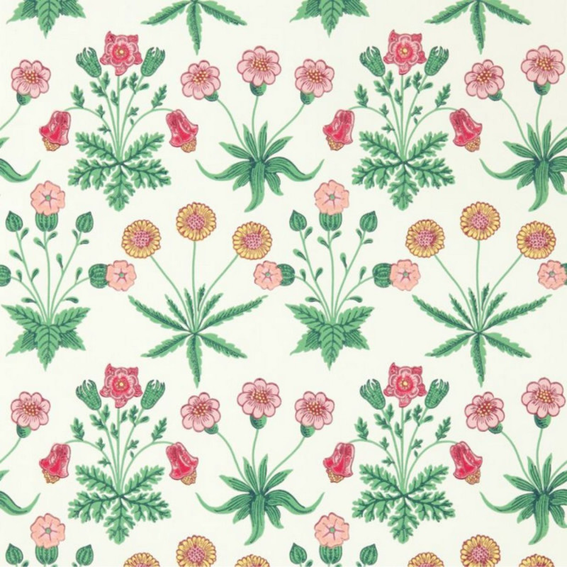 Daisy Strawberry Fields 510005