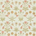 Daisy Coral/Manilla 212560