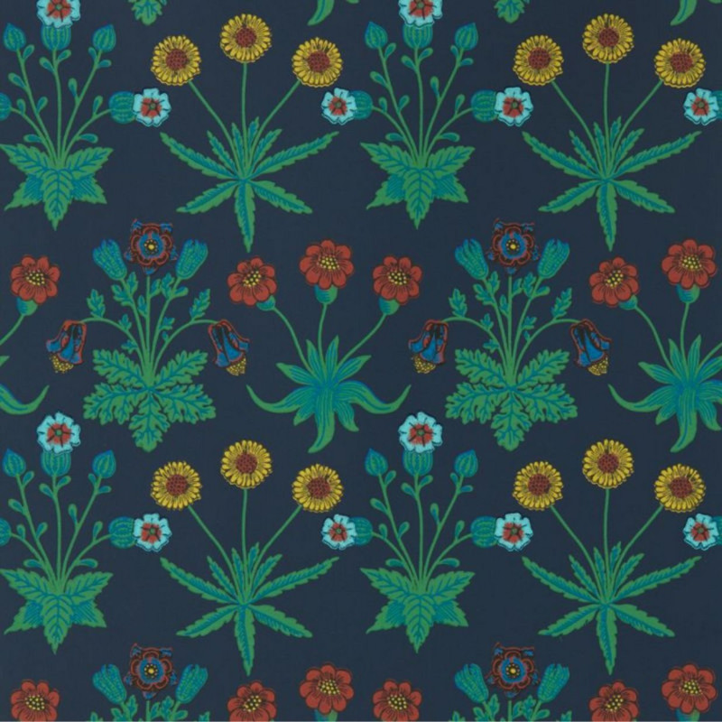 Daisy Midnight  510034