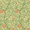 Sweet Briar Green/Rust DMC130101