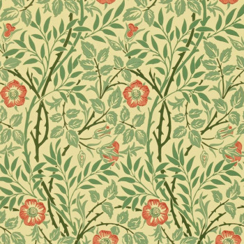 Sweet Briar Green/Rust DMC130101