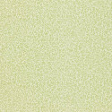 Standen  Fennel 216833