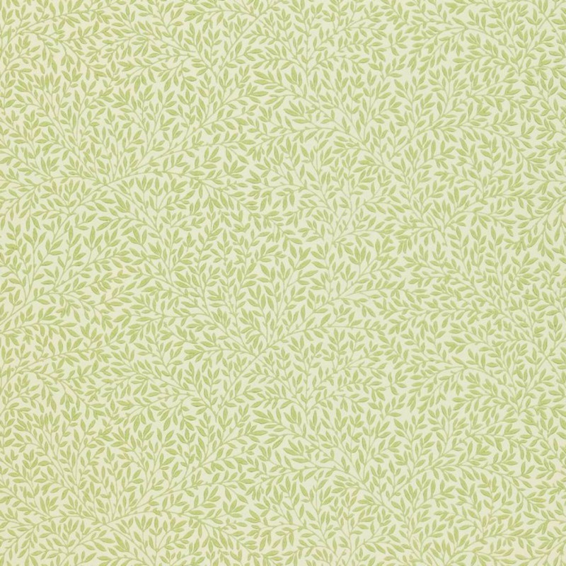Standen  Fennel 216833