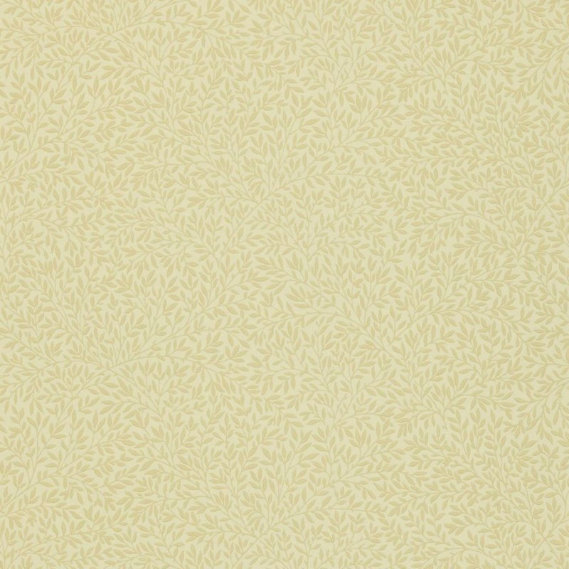 Standen  Flaxon DGW148107
