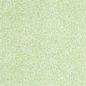 Standen  Leaf Green 217066