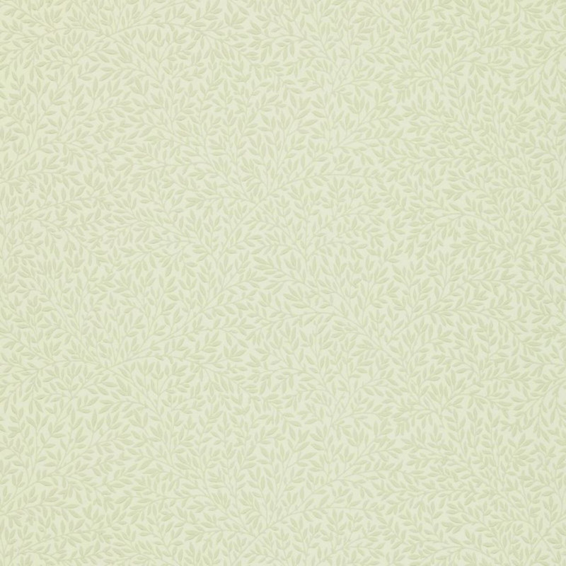 Standen Canvas DGW148101