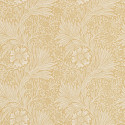 Marigold Cowslip 210370