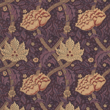Windrush Aubergine/Wine DMI1W6103
