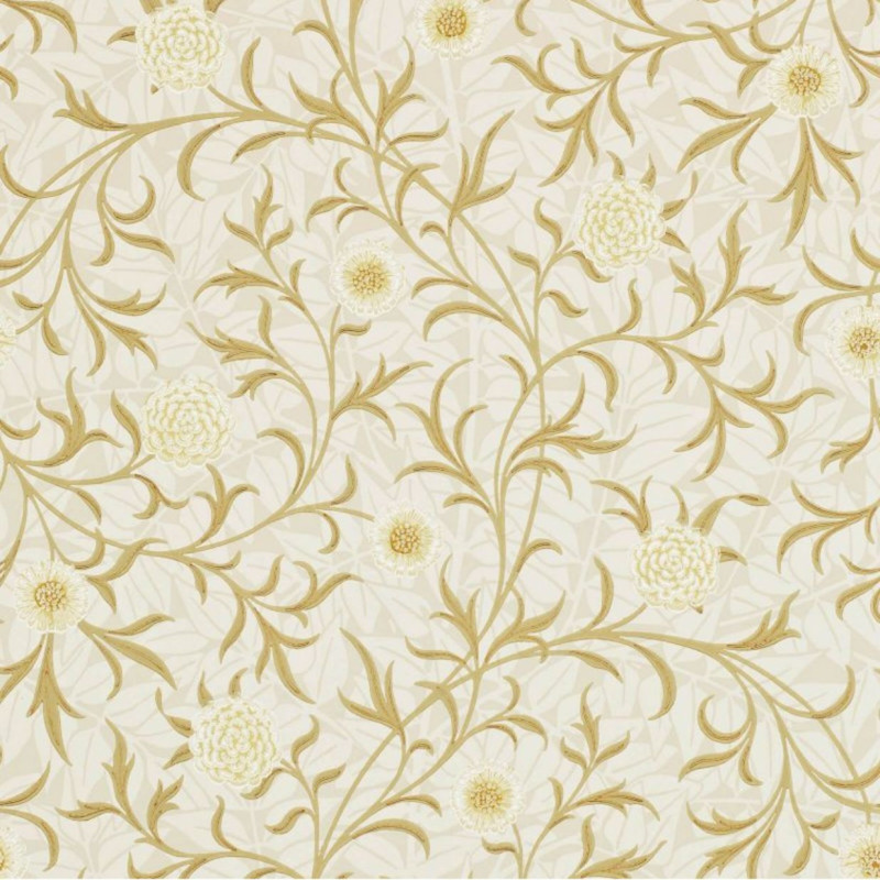 Scroll  Vellum/Biscuit 210363