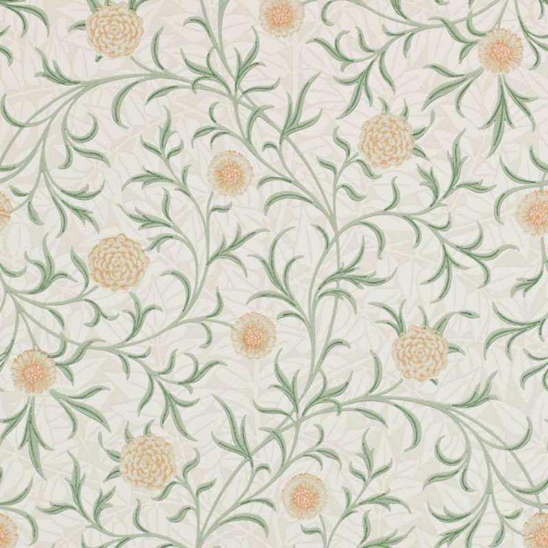 Scroll  Thyme/Pear 210365