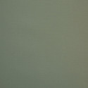 Tissu Frénésie Sauge 740-04