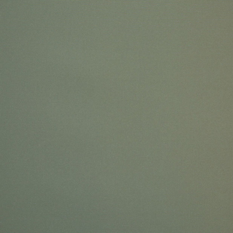 Tissu Frénésie Sauge 740-04