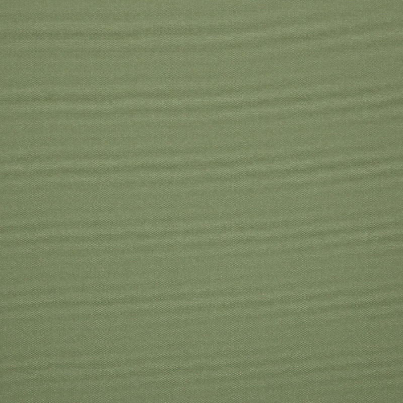 Tissu Frénésie Amande 740-08
