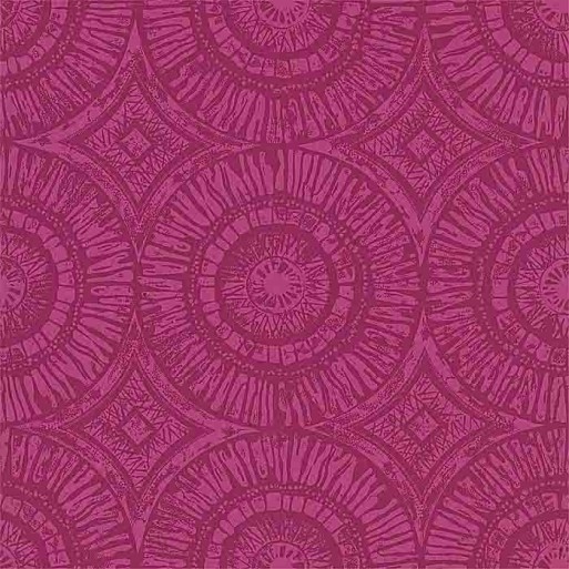 Suvi Raspberry