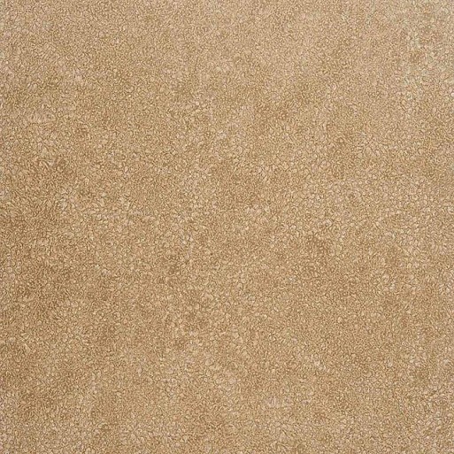 Obsessive Taupe