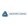 Montecolino